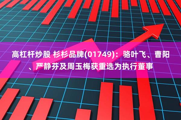 高杠杆炒股 杉杉品牌(01749)：骆叶飞、曹阳、严静芬及周玉梅获重选为执行董事