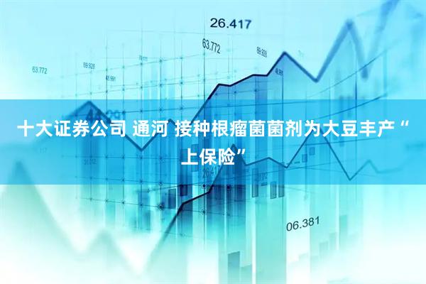 十大证券公司 通河 接种根瘤菌菌剂为大豆丰产“上保险”